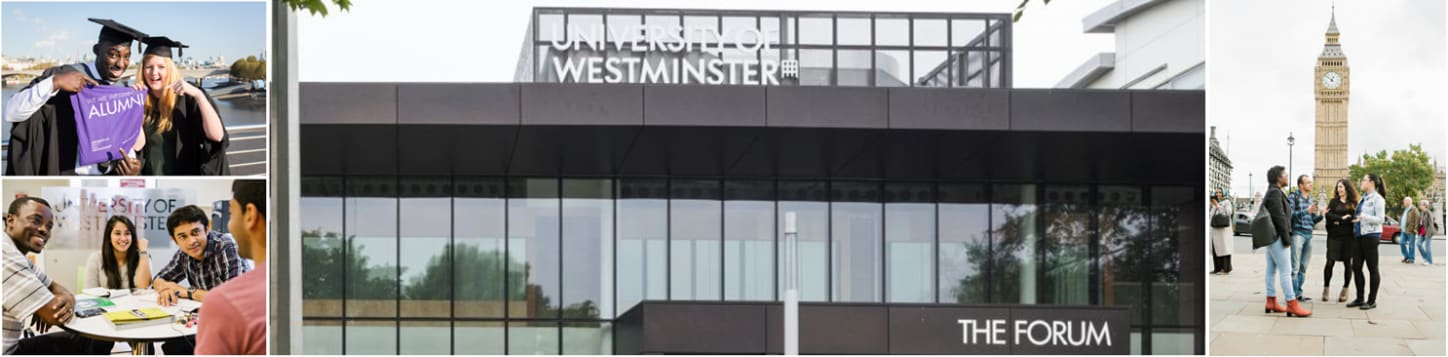 University of Westminster Museums, Galleries and Contemporary Culture with Professional Experience MA